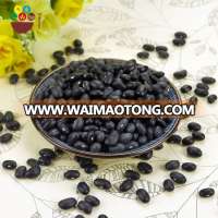 Origin natural dried bulk black kidney beans/black bean small type with low price