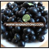 Sell Round Black Bean with Green Inside, China Origin