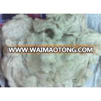 Cotton waste